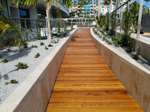 PtrBlt Miami Apogee Pool Deck leading to hotel